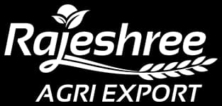 Export website design and development